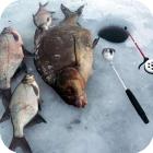 Особенности рыбалки с прикормкой по первому льду